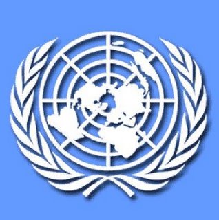 Nazioni Unite: la connessione internet Ã¨ un diritto inviolabile