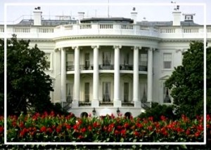 Grande spavento alla Casa Bianca: spari contro le vetrate