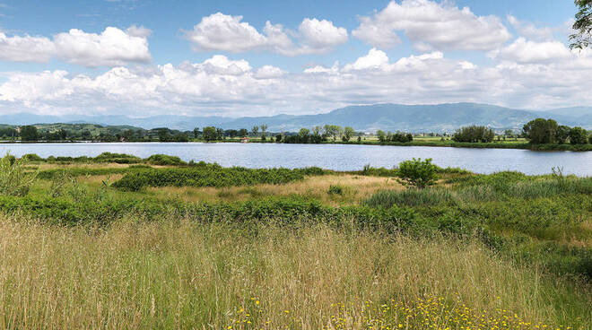 Lago della Gherardesca