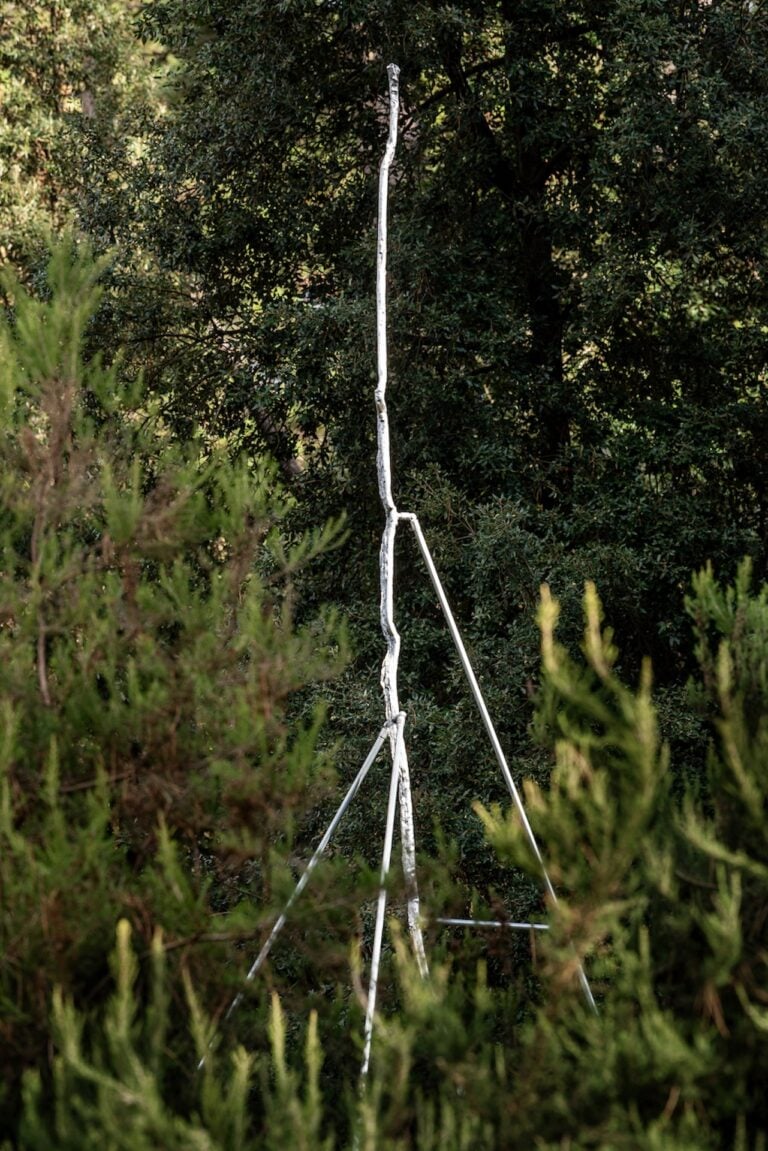 Antonio Della Guardia, A voce di tuono, Courtesy Associazione Culturale Dello Scompiglio, Foto Leonardo Morfini