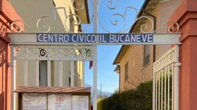 il bucaneve