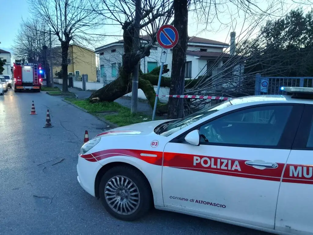 Altopascio, il vento sradica un albero sulla via di accesso alla stazione