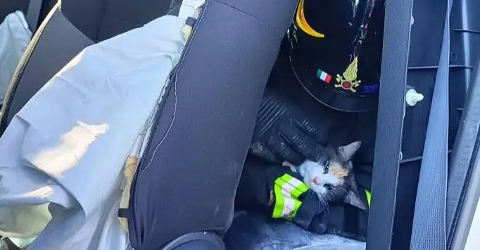 Scontro in A11 tra un camion e quattro auto: Tre feriti tra cui un bambino di un anno