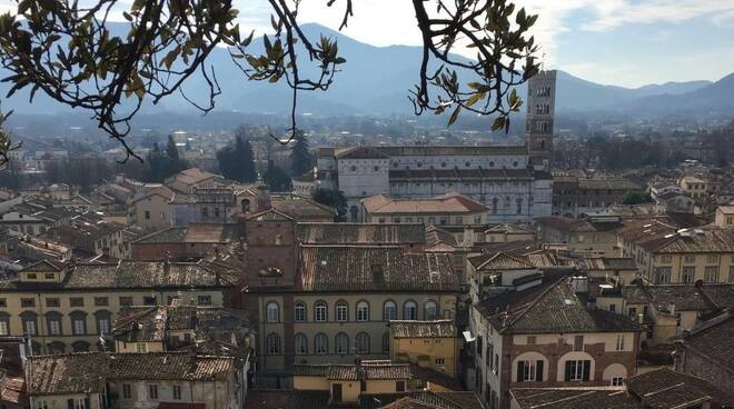 lucca