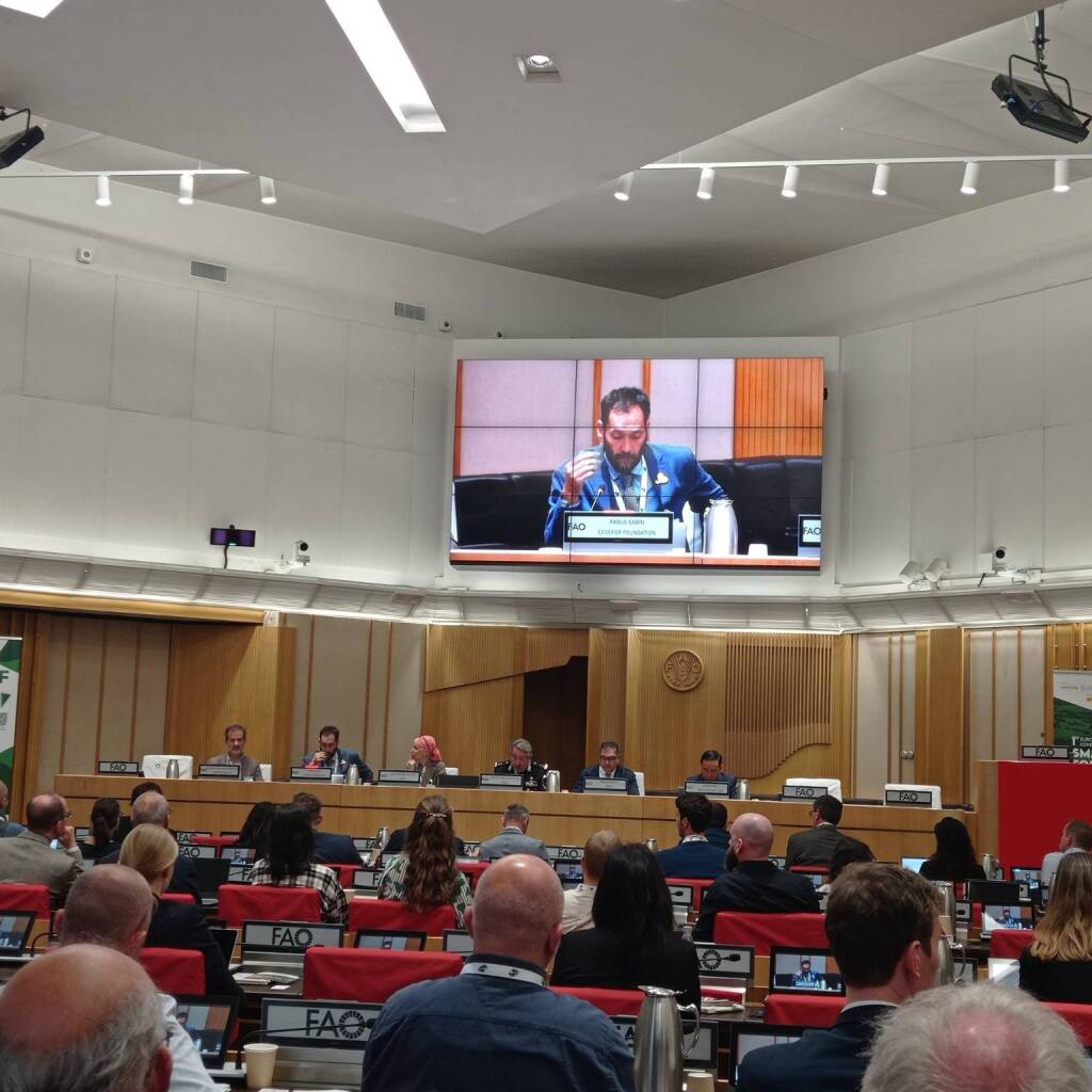 Consorzio Forestale di Villa Basilica