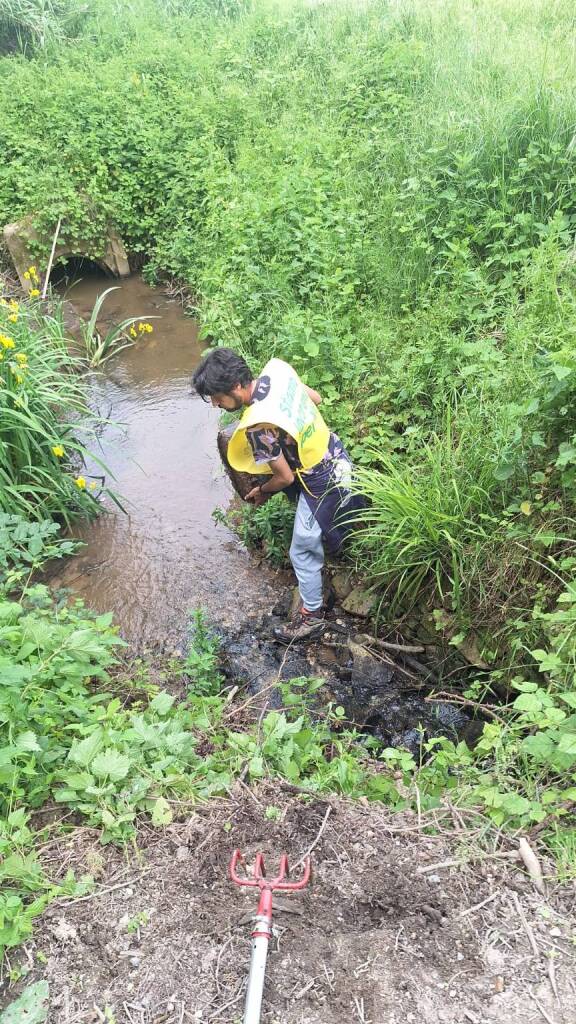 Sabato dell'ambiente