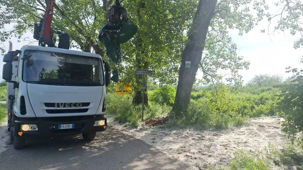 Tanti rifiuti rimossi nella zona del Lago della Gherardesca con l’iniziativa di Legambiente