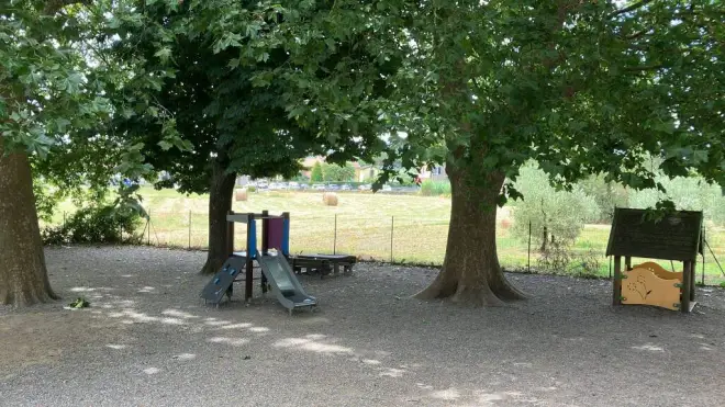 Nuovi spazi per il nido a Borgonuovo, raccolta firme contro l’abbattimento degli alberi