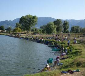 La Scuola di Pesca Andrea Lucchesi ritorna ai laghetti di Lammari: il corso è per bambini dai 5 ai 14 anni