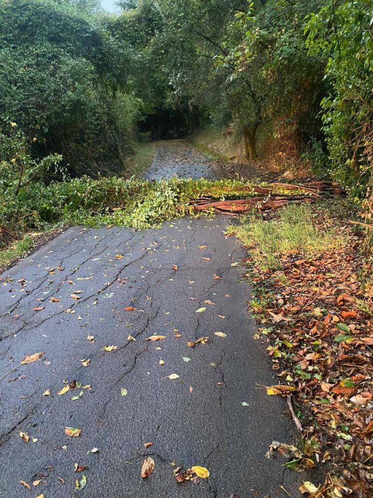 maltempo, meteo, temporale, estate