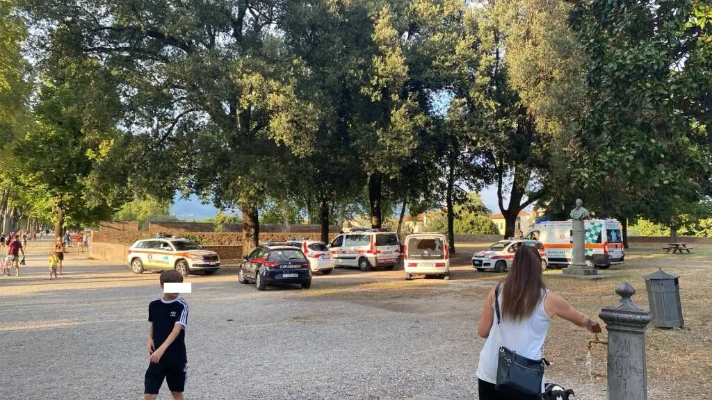 Dà in escandescenze sulle Mura, fermato sul Baluardo della Libertà