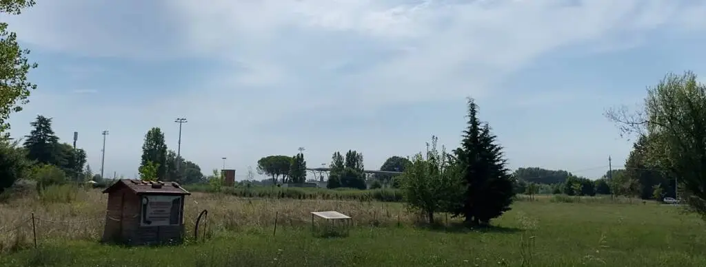 Un milione di euro per il bosco urbano a Capannori: Alleanza Verdi e Sinistra applaude l’iniziativa