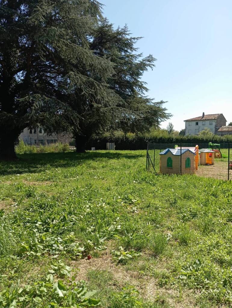 scuola dell'infanzia, Colognora, trasferimento, Carraia