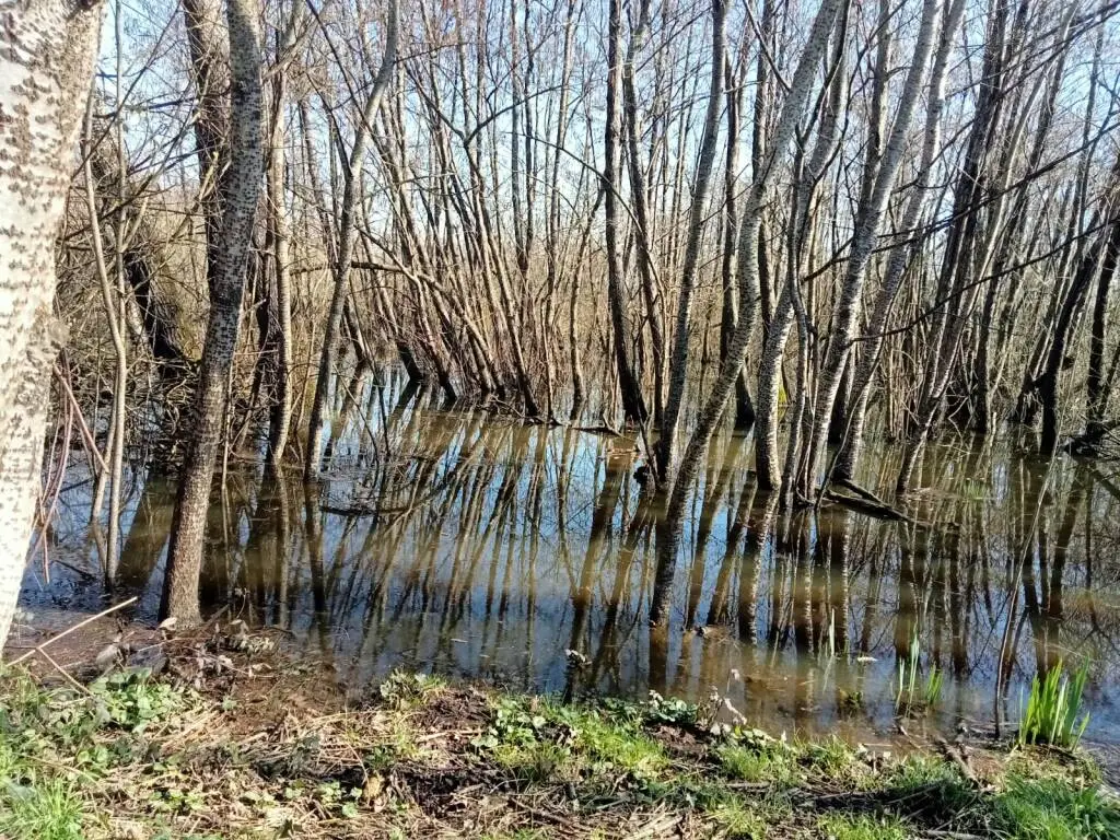 C’è ‘Rigenera Sibolla’, un pomeriggio dedicato al rilancio della riserva naturale