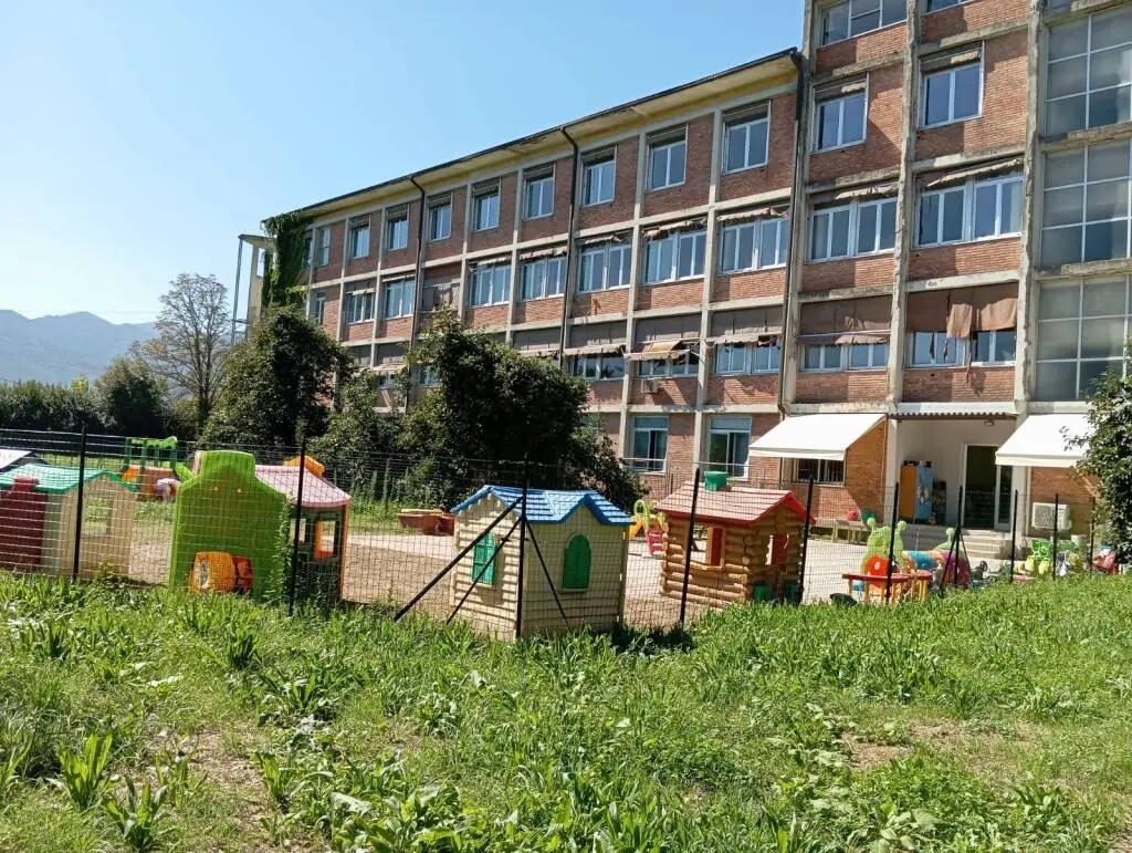 Tracce di topi alla sede di Carraia della scuola dell’infanzia di Colognora: la situazione è sotto controllo