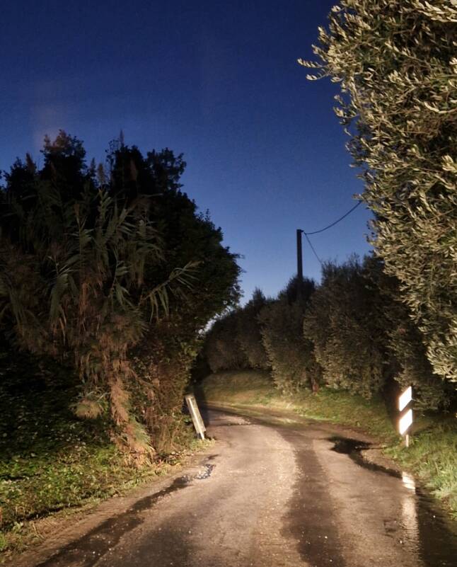 Via delle Ralle, Scannerini