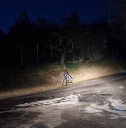 Via delle Ralle, Scannerini