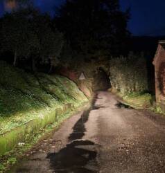 Via delle Ralle, Scannerini