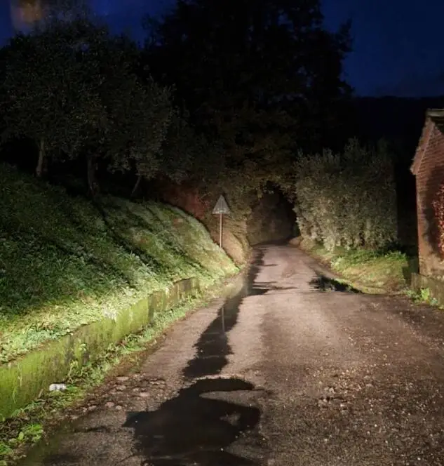 Via delle Ralle, Scannerini (FI): “La strada è in condizioni indegne”