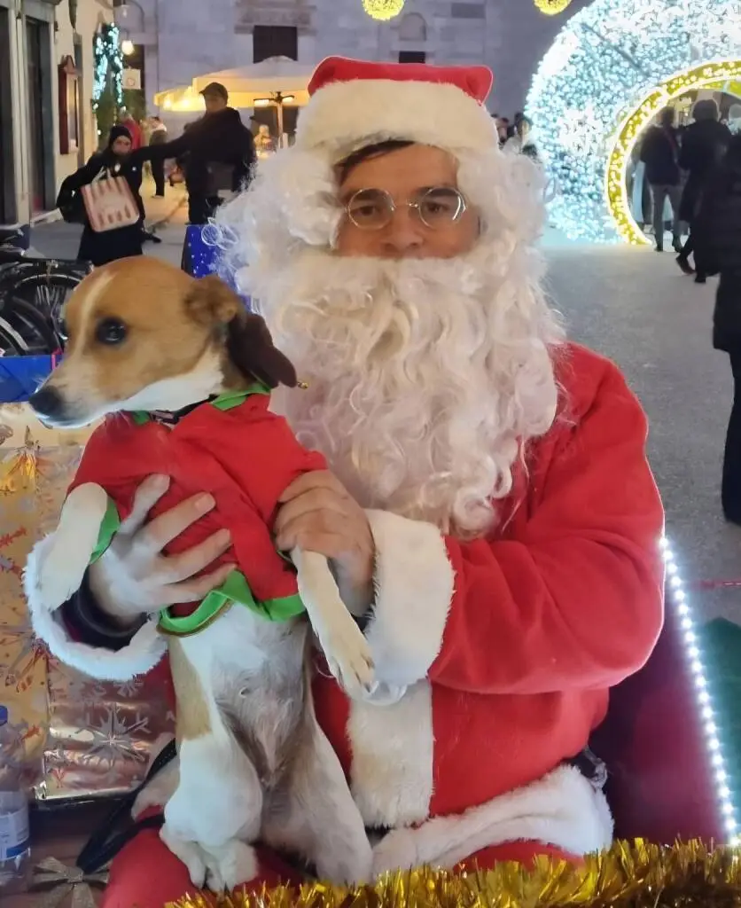 Tornano il ‘Natale a 4 zampe’ di Anpana e la lotteria della Befana