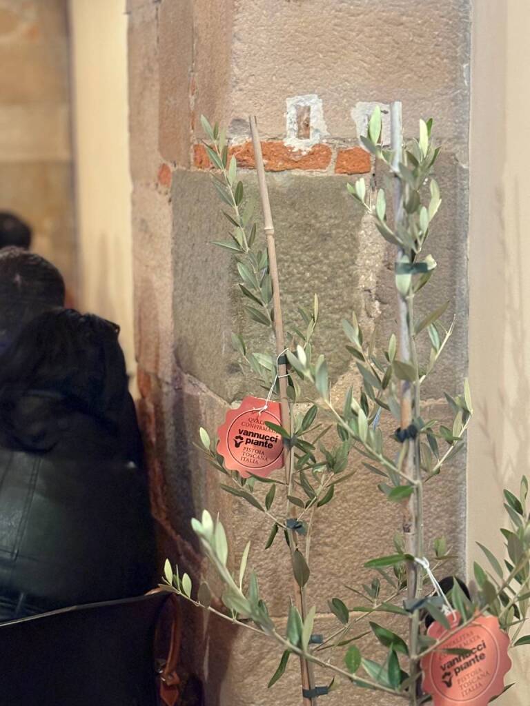 Generico gennaio 2026