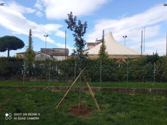 Consorzio di Bonifica Toscana Nord Leccio Infanzia Marlia