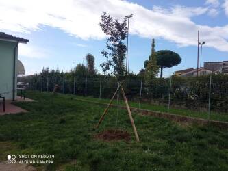 Consorzio di Bonifica Toscana Nord Leccio Infanzia Marlia