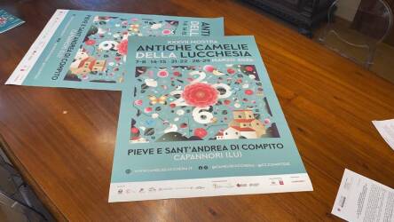 Mostra Antiche Camelie della Lucchesia