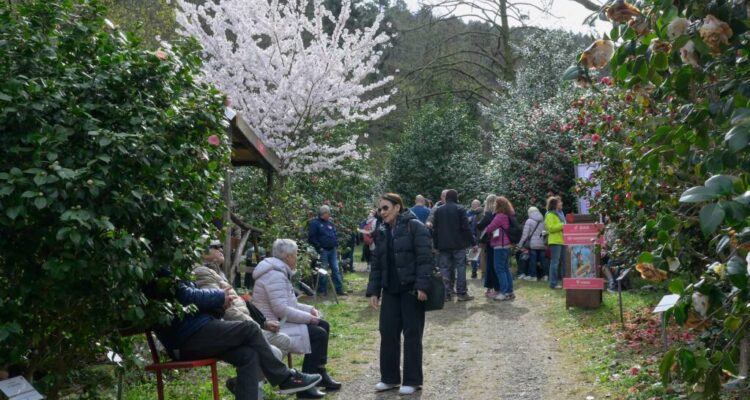 Bottone La tua pubblicità sul giornale