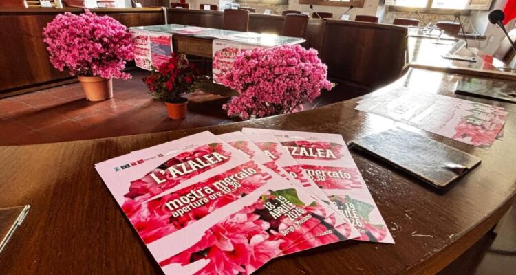 Bottone La tua pubblicità sul giornale