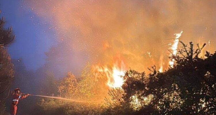 Bottone La tua pubblicità sul giornale