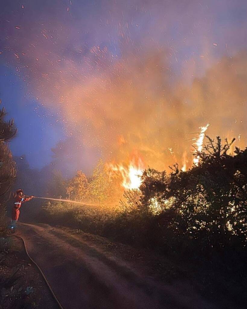 Bottone La tua pubblicità sul giornale