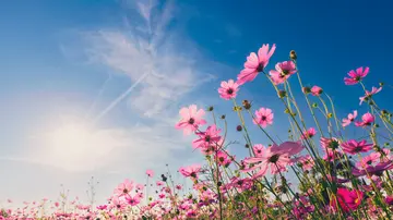 Quasi estate ma non per sempre: ecco quando tutto cambia