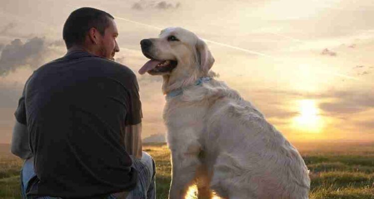 Bottone La tua pubblicità sul giornale