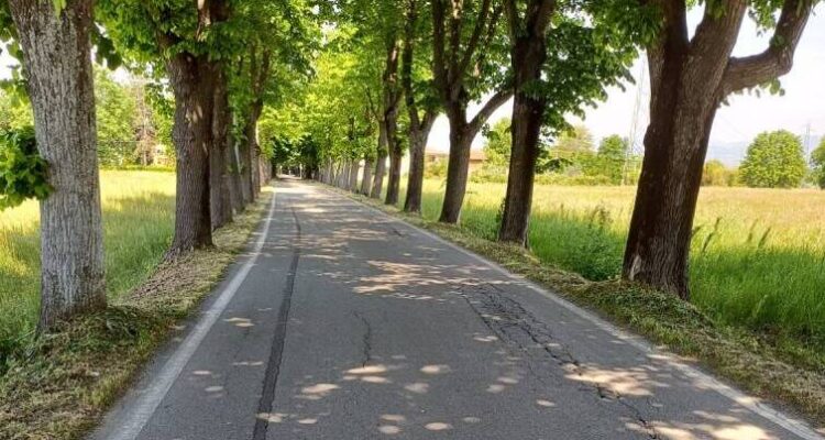 Bottone La tua pubblicità sul giornale