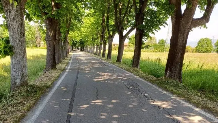 Altopascio, nuovo piano di provvedimenti per il decoro e il verde pubblico