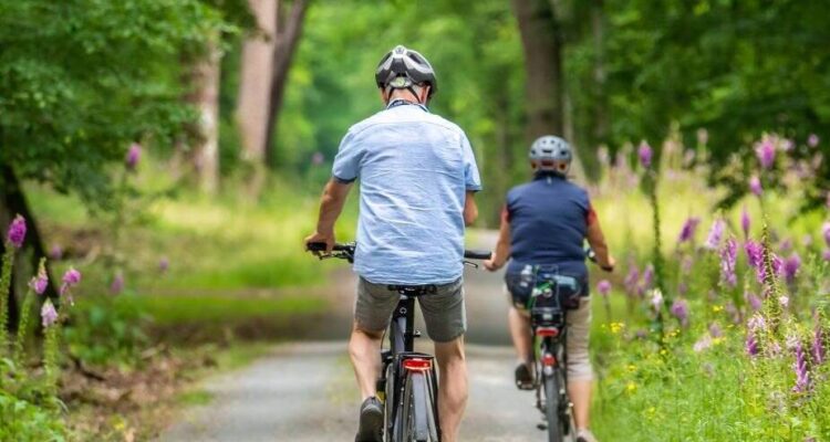 Bottone La tua pubblicità sul giornale