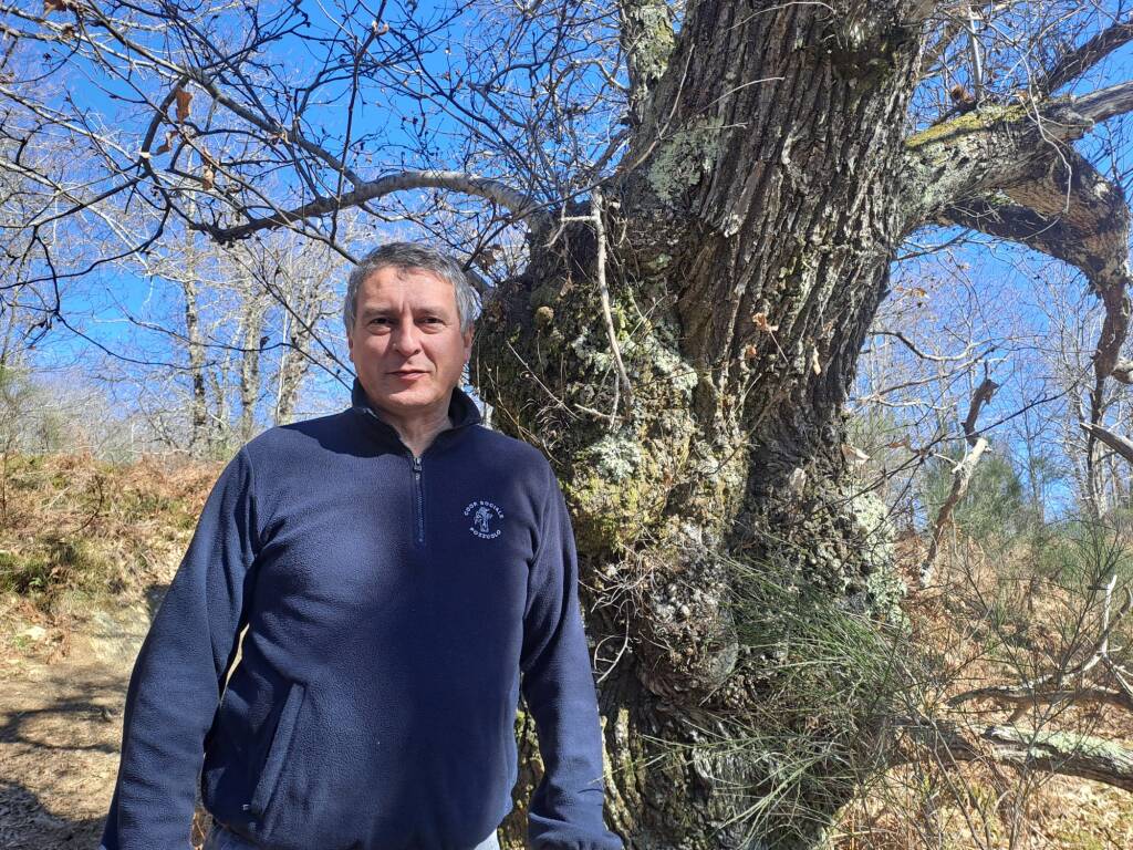 Bottone La tua pubblicità sul giornale