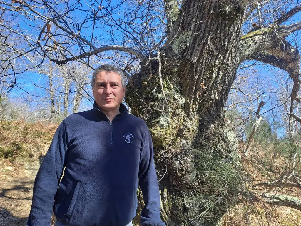 Prima certificazione forestale Fsc per il Consorzio di Villa Basilica