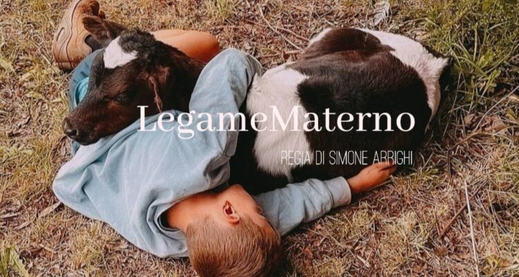 Bottone La tua pubblicità sul giornale