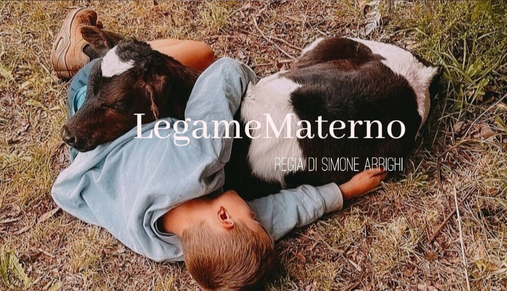 Bottone La tua pubblicità sul giornale