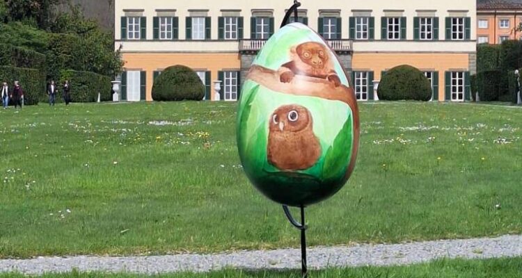 Bottone La tua pubblicità sul giornale