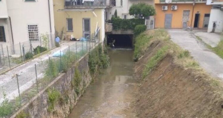 Bottone La tua pubblicità sul giornale