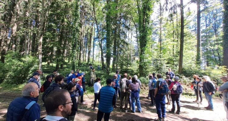 Bottone La tua pubblicità sul giornale