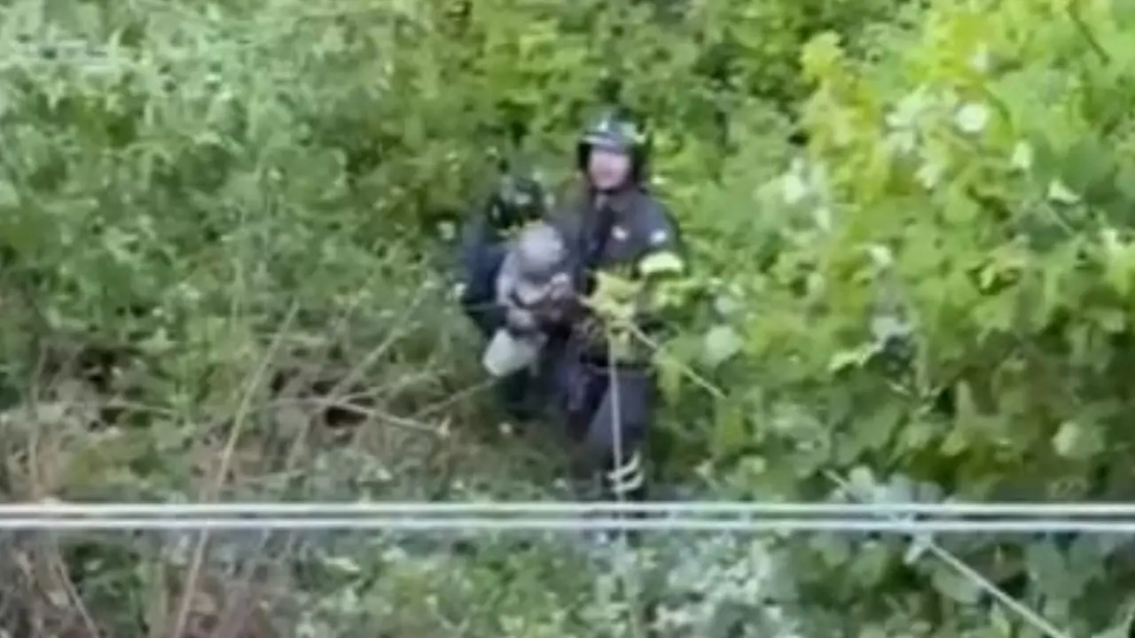 L'intervento di recupero dei vigili del fuoco