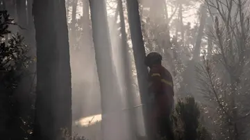 Incendio sul Monte Faeta, il peggio (forse) è passato. Iniziata la bonifica, circa 700 ettari andati in fumo: la situazione