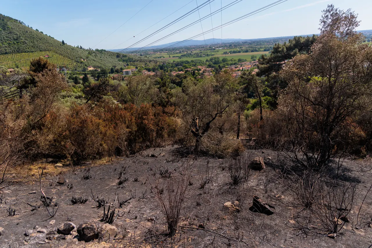 Le aree evacuate in cui le fiamme hanno raggiunto le abitazioni durante l'incendio di quattro giorni il 2 maggio 2026 ad Asciano (foto di Enrico Mattia Del Punta)