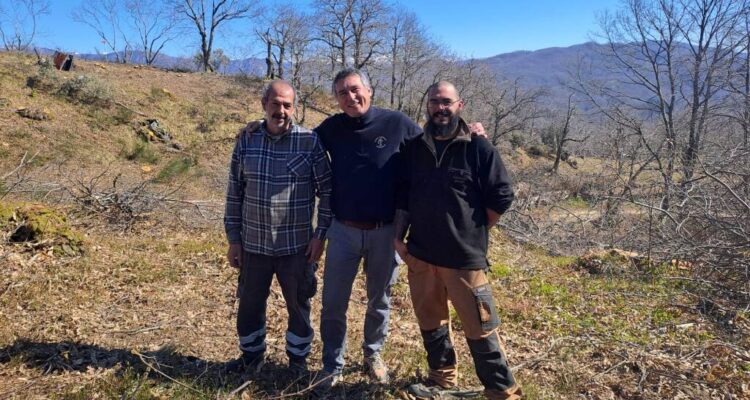 Bottone La tua pubblicità sul giornale