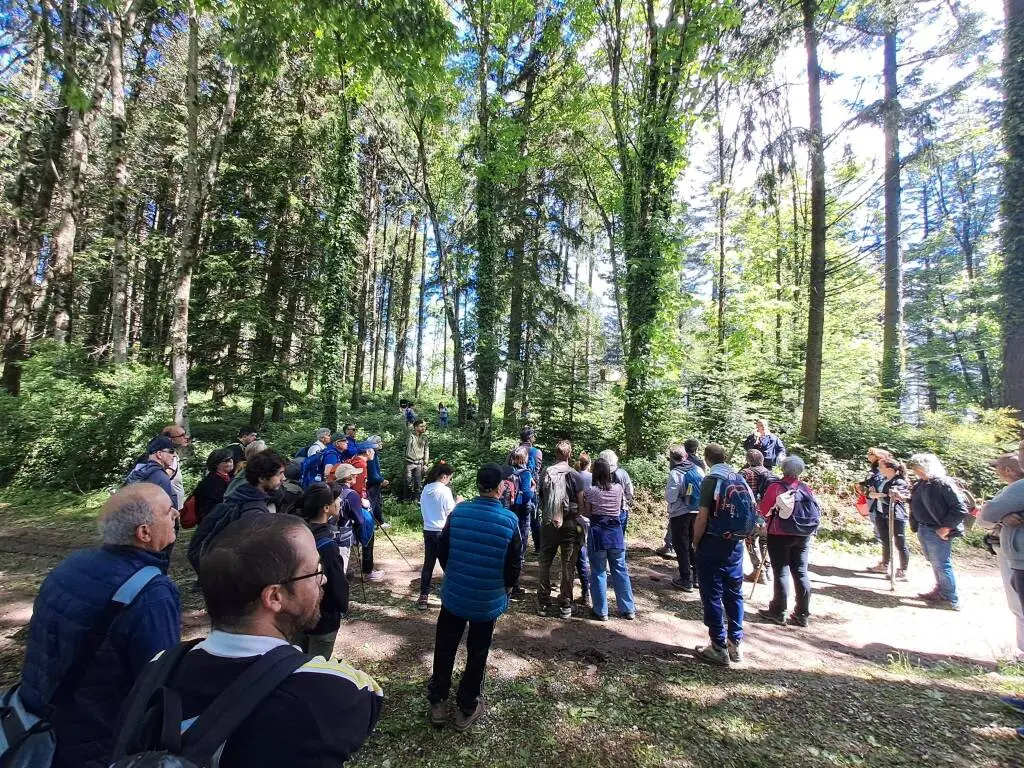 Grande successo per il secondo trekking di Altopiani a Pietra Pertusa