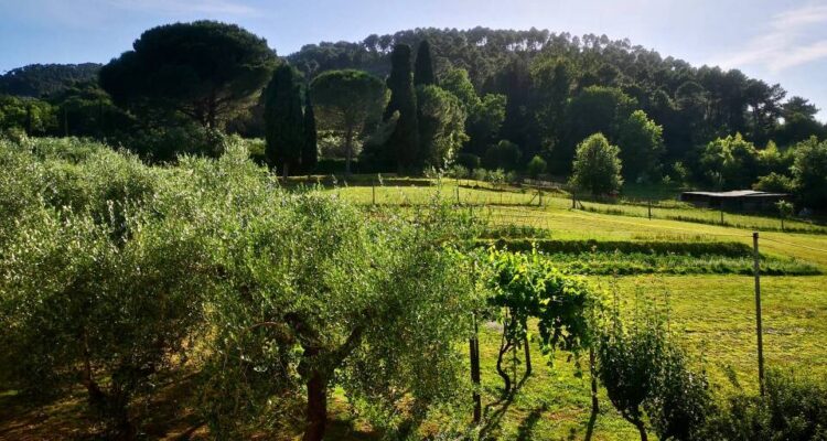 Bottone La tua pubblicità sul giornale